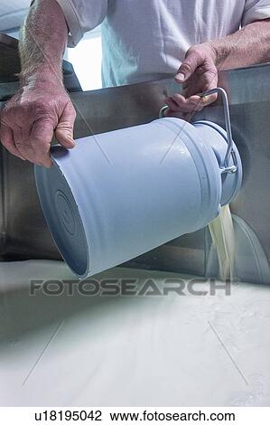 Male cheesemaker pouring milk churn into vat, close up of hands View Large Photo Image Stock Image - Male cheesemaker pouring milk churn into vat, close up of hands. Fotosearch