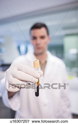Male laboratory assistant holding test tube. View Large Photo Image Stock Photo - Male laboratory assistant holding test tube.. Fotosearch