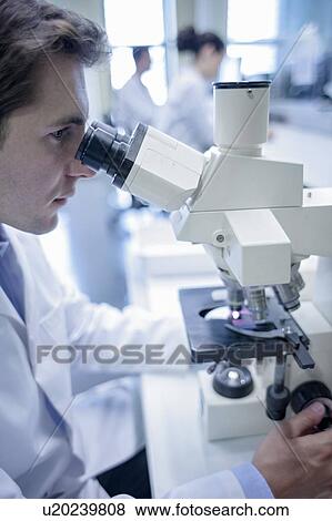 Male laboratory assistant using microscope. View Large Photo Image Stock Photo - Male laboratory assistant using microscope.. Fotosearch