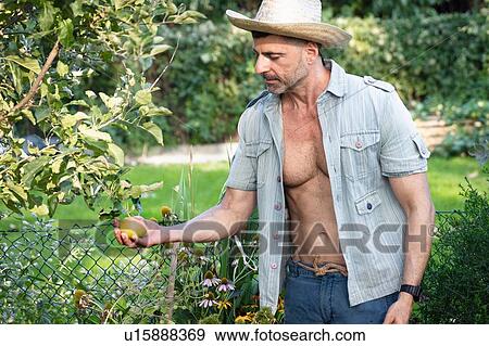 Stock Photo - Man admiring apple on tree. Fotosearch