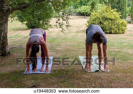 Stock Image - Man and woman practicing yoga in garden, bending forward. Fotosearch