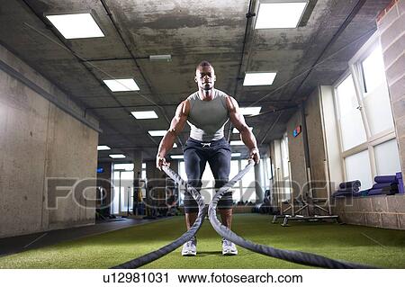 Man using battle ropes in gym View Large Photo Image Stock Image - Man using battle ropes in gym. Fotosearch