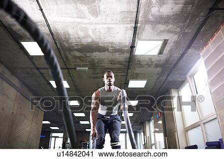 Man using battle ropes in gym View Large Photo Image Stock Image - Man using battle ropes in gym. Fotosearch