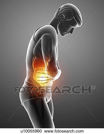 Man with abdominal pain, computer illustration. View Large Photo Image Stock Image - Man with abdominal pain, computer illustration.. Fotosearch