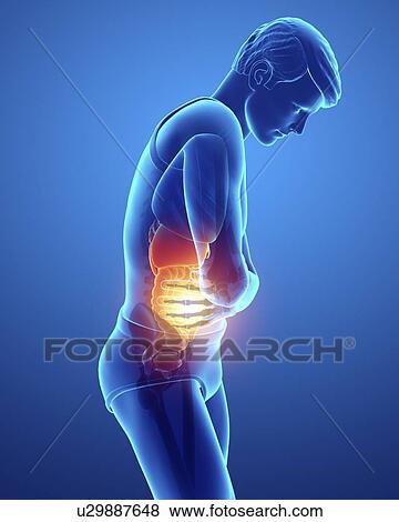 Man with abdominal pain, computer illustration. View Large Photo Image Stock Photo - Man with abdominal pain, computer illustration.. Fotosearch