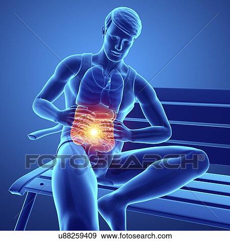 Man with abdominal pain, computer illustration. View Large Photo Image Stock Photo - Man with abdominal pain, computer illustration.. Fotosearch