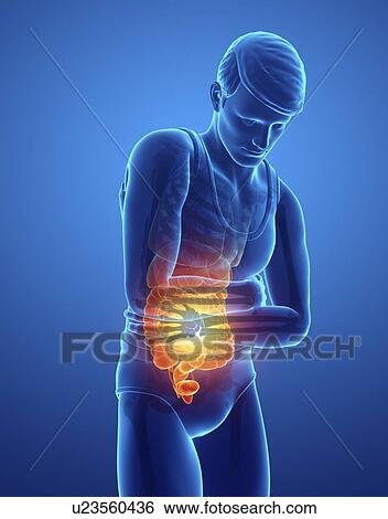 Man with abdominal pain, computer illustration. View Large Photo Image Stock Photograph - Man with abdominal pain, computer illustration.. Fotosearch