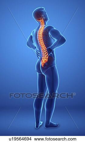 Picture - Man with back pain, computer illustration.. Fotosearch