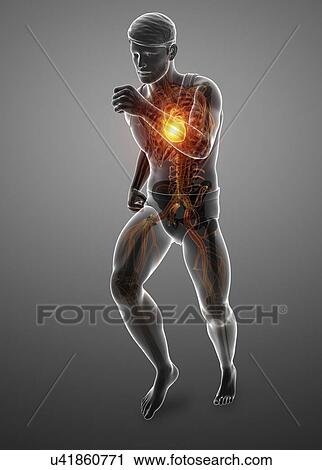 Stock Image - Man with chest pain, computer illustration.. Fotosearch