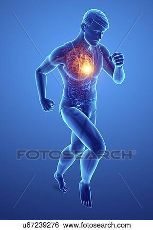 Man with chest pain, computer illustration. View Large Photo Image Stock Photograph - Man with chest pain, computer illustration.. Fotosearch