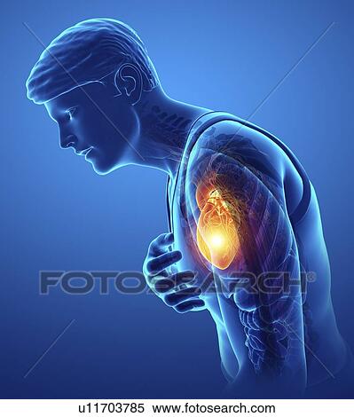 Man with chest pain, computer illustration. View Large Photo Image Stock Photography - Man with chest pain, computer illustration.. Fotosearch