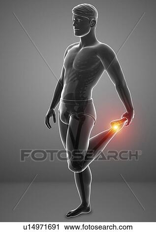 Man with foot pain, computer illustration. View Large Photo Image Stock Image - Man with foot pain, computer illustration.. Fotosearch