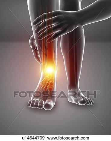 Man with foot pain, computer illustration. View Large Photo Image Stock Photo - Man with foot pain, computer illustration.. Fotosearch