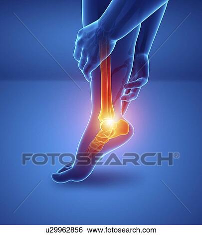 Man with foot pain, computer illustration. View Large Photo Image Stock Photograph - Man with foot pain, computer illustration.. Fotosearch