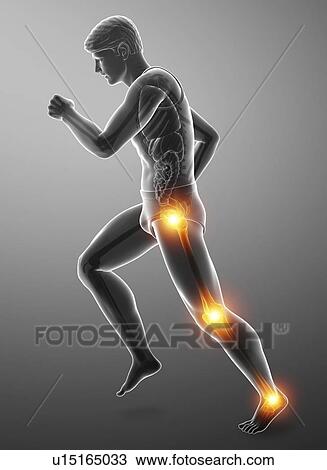 Stock Image - Man with knee pain, computer illustration.. Fotosearch