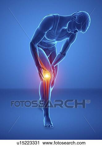 Man with knee pain, computer illustration. View Large Photo Image Stock Image - Man with knee pain, computer illustration.. Fotosearch