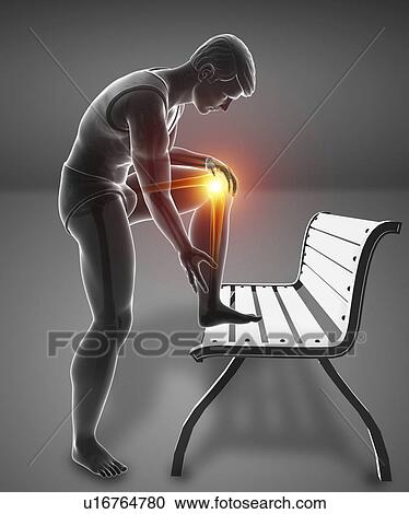 Stock Image - Man with knee pain, computer illustration.. Fotosearch