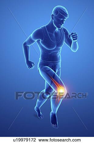 Man with knee pain, computer illustration. View Large Photo Image Stock Image - Man with knee pain, computer illustration.. Fotosearch