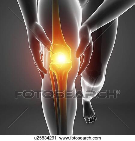 Stock Image - Man with knee pain, computer illustration.. Fotosearch
