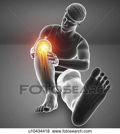Man with knee pain, computer illustration. View Large Photo Image Stock Photo - Man with knee pain, computer illustration.. Fotosearch