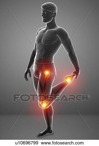 Man with knee pain, computer illustration. View Large Photo Image Stock Photo - Man with knee pain, computer illustration.. Fotosearch