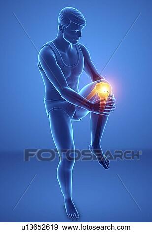 Man with knee pain, computer illustration. View Large Photo Image Stock Photo - Man with knee pain, computer illustration.. Fotosearch