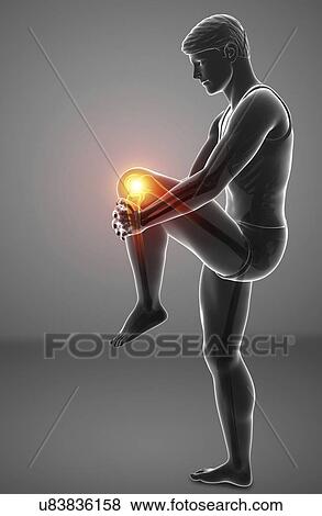 Stock Photo - Man with knee pain, computer illustration.. Fotosearch