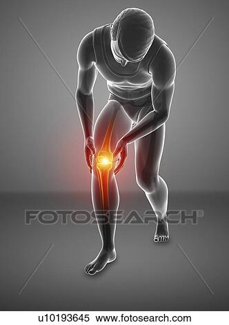 Man with knee pain, computer illustration. View Large Photo Image Stock Photography - Man with knee pain, computer illustration.. Fotosearch