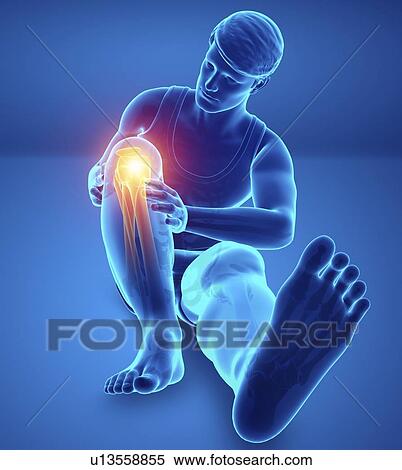 Stock Photography - Man with knee pain, computer illustration.. Fotosearch