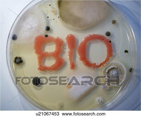Stock Image - Microbiology, conceptual image.. Fotosearch