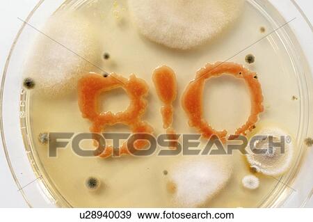 Stock Photo - Microbiology, conceptual image.. Fotosearch