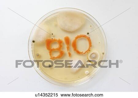 Microbiology, conceptual image. View Large Photo Image Stock Photography - Microbiology, conceptual image.. Fotosearch