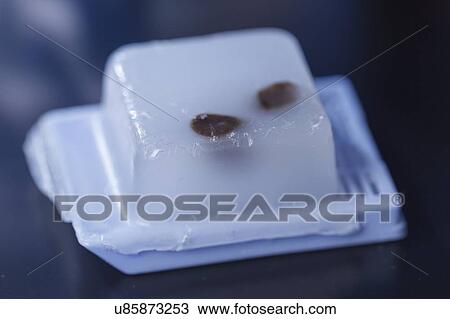 Microscopy samples embedded in paraffin. View Large Photo Image Stock Image - Microscopy samples embedded in paraffin.. Fotosearch