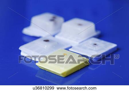 Stock Photo - Microscopy samples embedded in paraffin.. Fotosearch