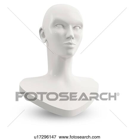 Model of a human head, illustration. View Large Photo Image Stock Photo - Model of a human head, illustration.. Fotosearch