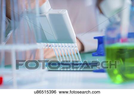 Multichannel pipette use. View Large Photo Image Stock Photograph - Multichannel pipette use.. Fotosearch