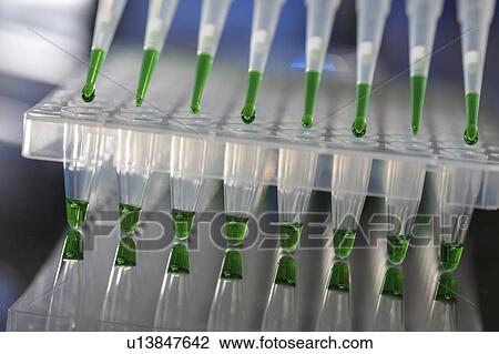 Stock Image - Multipipette.. Fotosearch
