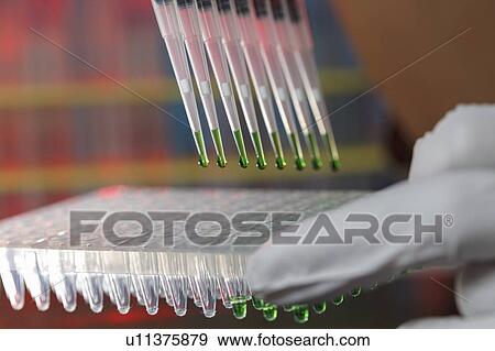 Stock Photo - Multipipette.. Fotosearch