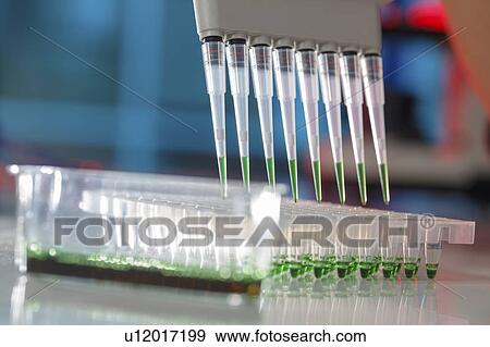 Stock Photo - Multipipette.. Fotosearch