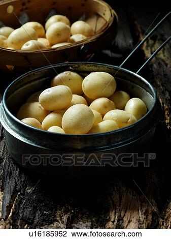 New potatoes View Large Photo Image Stock Image - New potatoes. Fotosearch