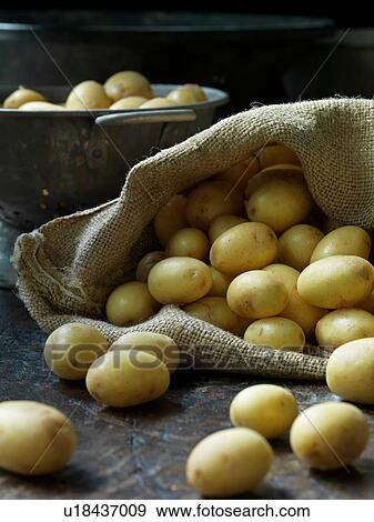 New potatoes View Large Photo Image Stock Photo - New potatoes. Fotosearch