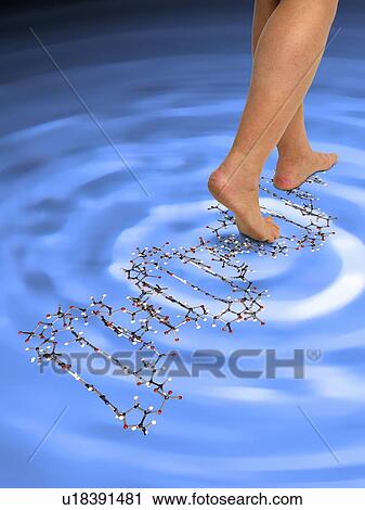Stock Image - Person walking on molecular structure, illustration.. Fotosearch