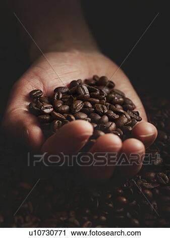 Stock Image - Person with hand full of coffee beans.. Fotosearch