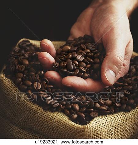 Stock Image - Person with hand full of coffee beans.. Fotosearch