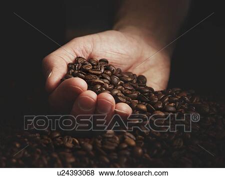 Stock Photo - Person with hand full of coffee beans.. Fotosearch