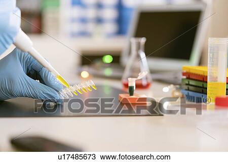Stock Image - Pipetting sample.. Fotosearch