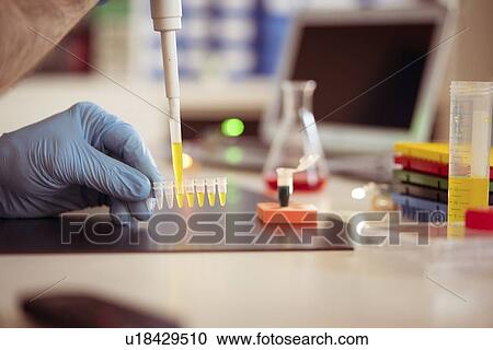 Stock Image - Pipetting sample.. Fotosearch