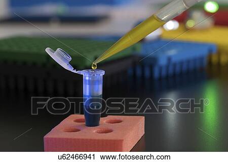 Stock Image - Pipetting sample.. Fotosearch
