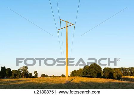 Power line in field at dusk View Large Photo Image Stock Image - Power line in field at dusk. Fotosearch