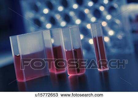 Stock Image - Quartz cuvettes containing red liquid.. Fotosearch